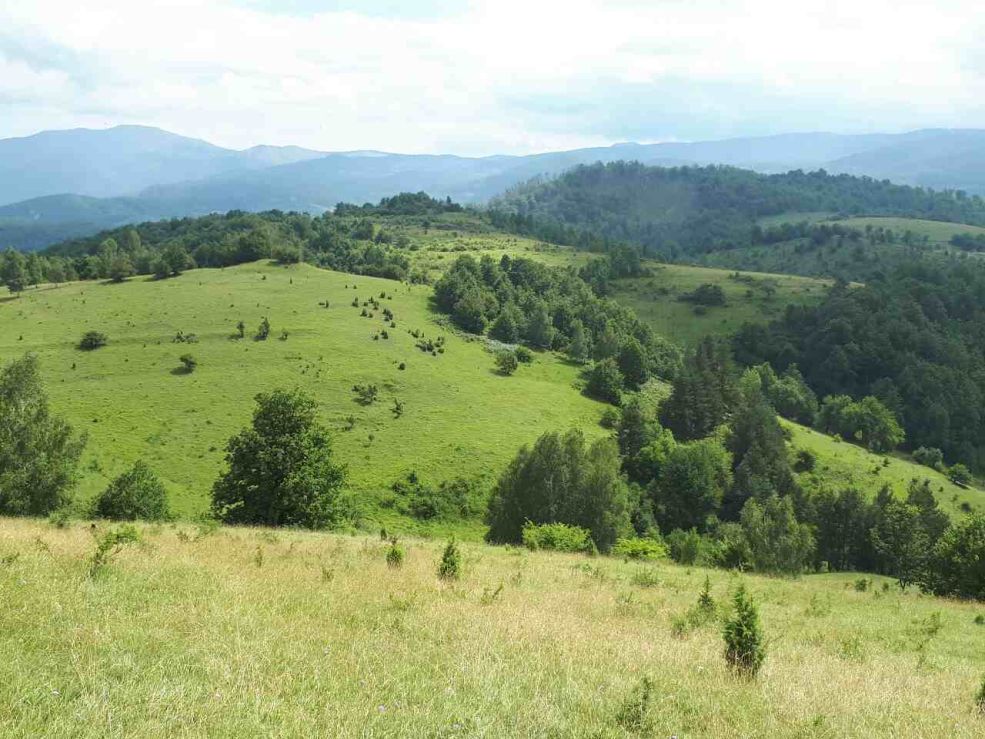 Prodajem veliku površinu zemljišta Vareš Nišićka visoravan